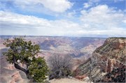 04052011_Grand Canyon Susan_209
